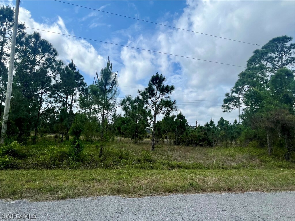 Property Photo:  1166 Briarcliffe Street  FL 33913 