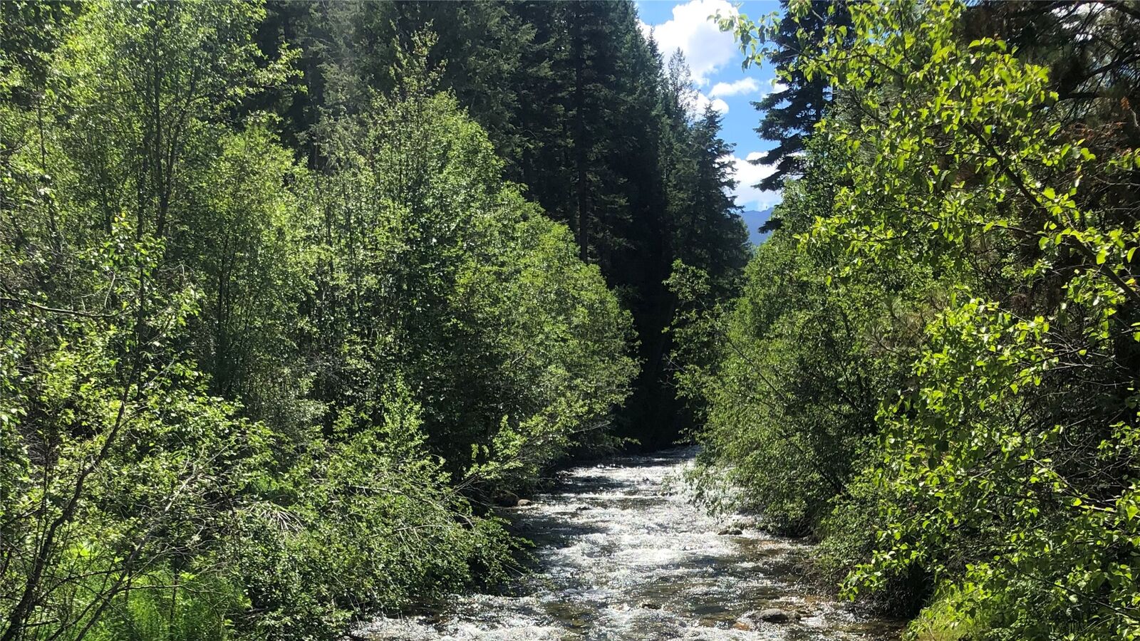 Property Photo: 305 Jorgy Way MT 59840