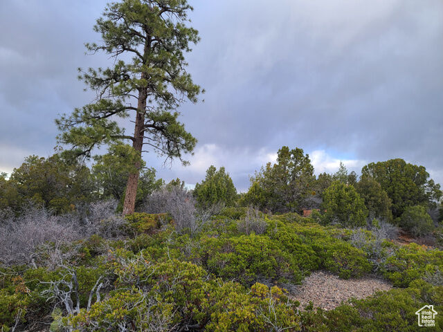 Property Photo:  Address not disclosed  UT 84741 
