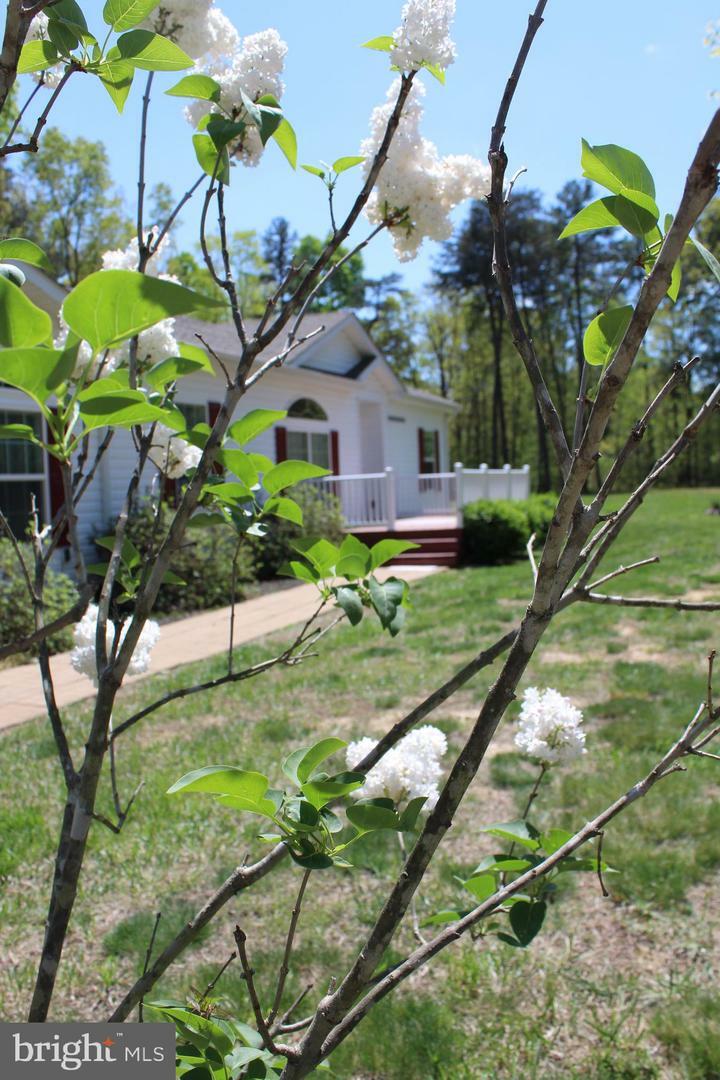 Property Photo:  343 Forest Hill Road  VA 22942 