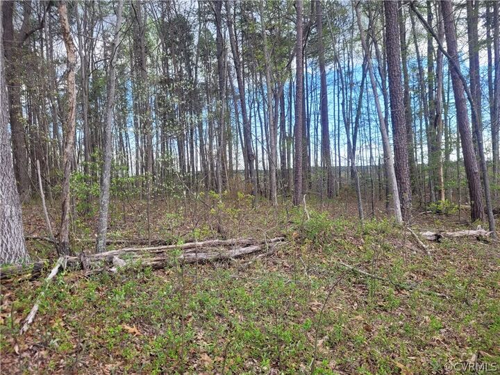 00 Mountain Hall Road  Crewe VA 23930 photo
