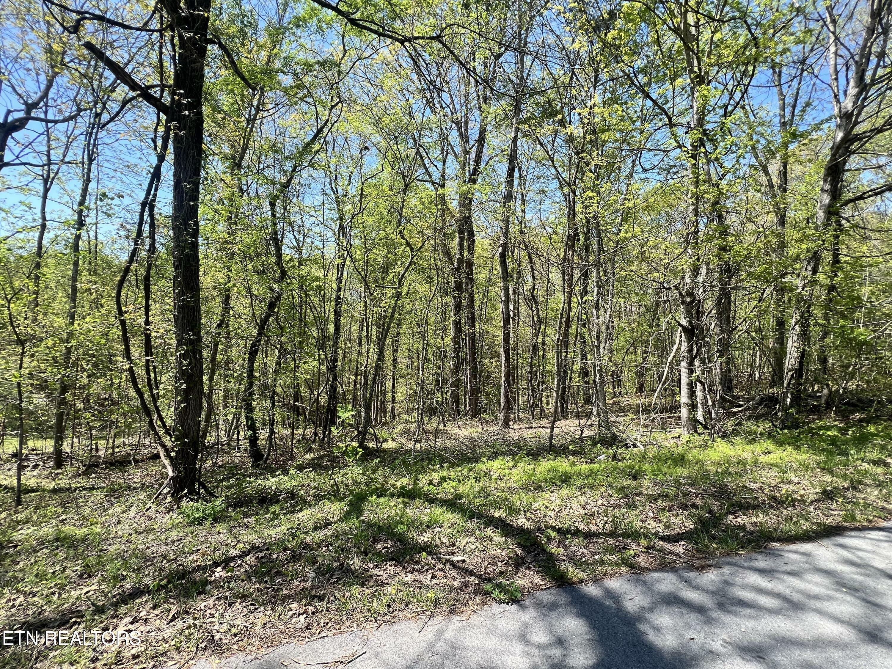 Property Photo:  225 Clear Springs Rd  TN 37748 