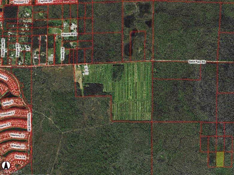 Property Photo:  0 South Of Sabal Palm Rd  FL 34114 