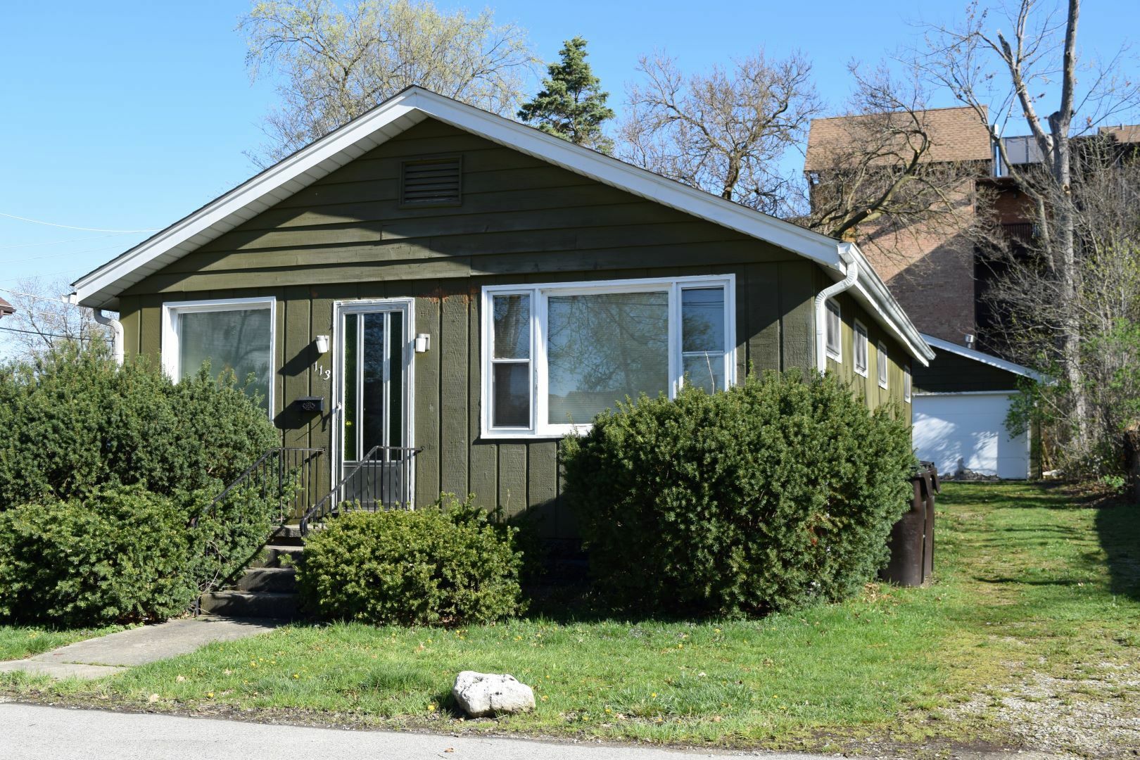 Property Photo: 113 Roosevelt Avenue IL 60084