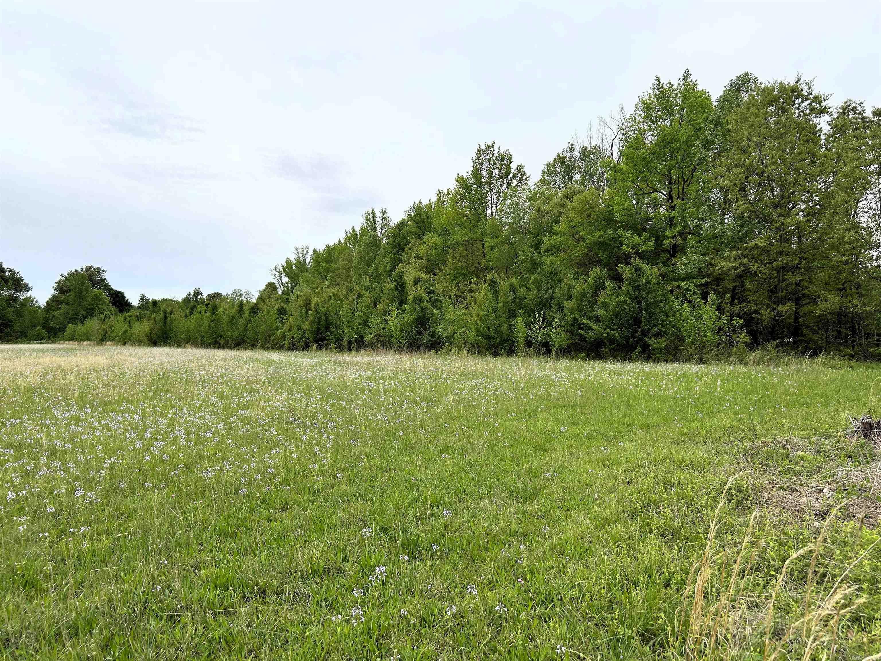 Property Photo:  1.51 Acres Ginger Drive  AR 72401 