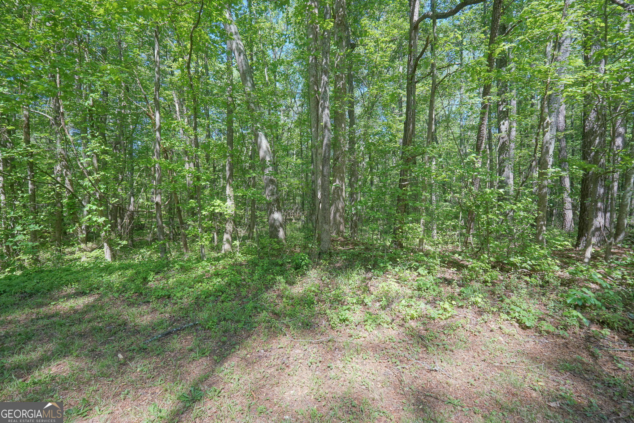 Property Photo:  920 W Lake Drive  GA 30054 