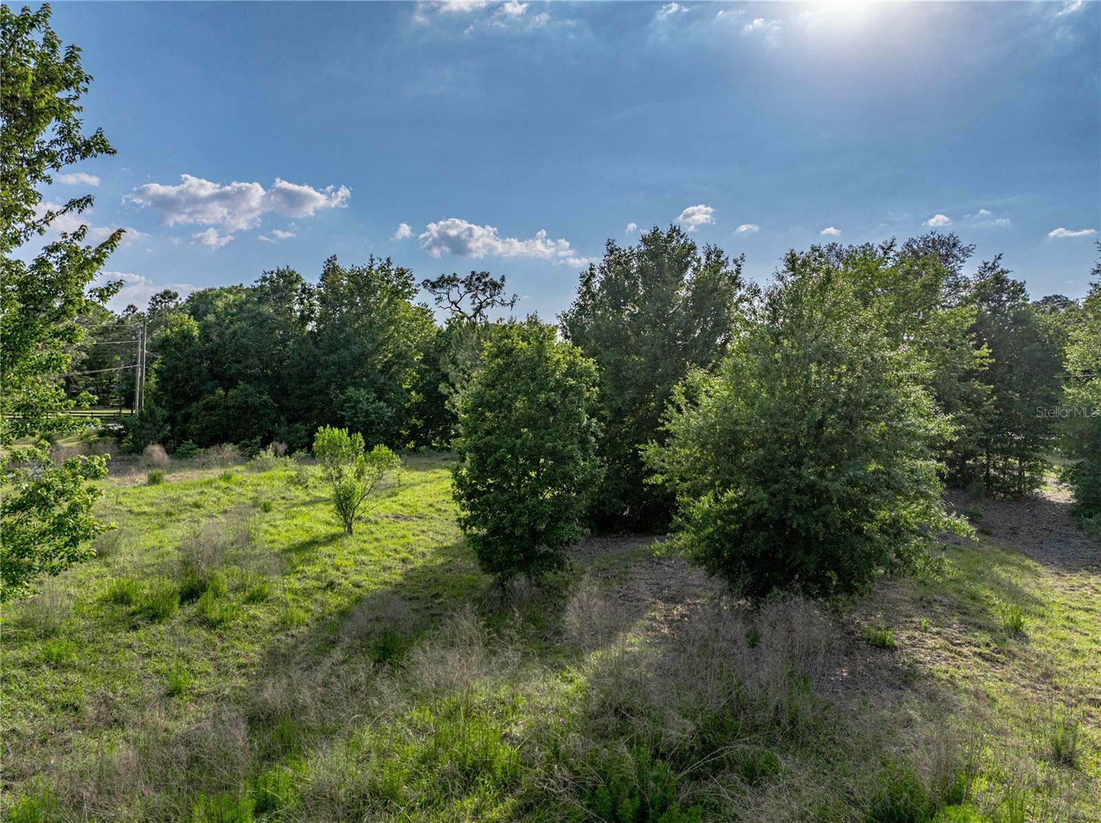 Property Photo:  Old Dade City Road  FL 33810 