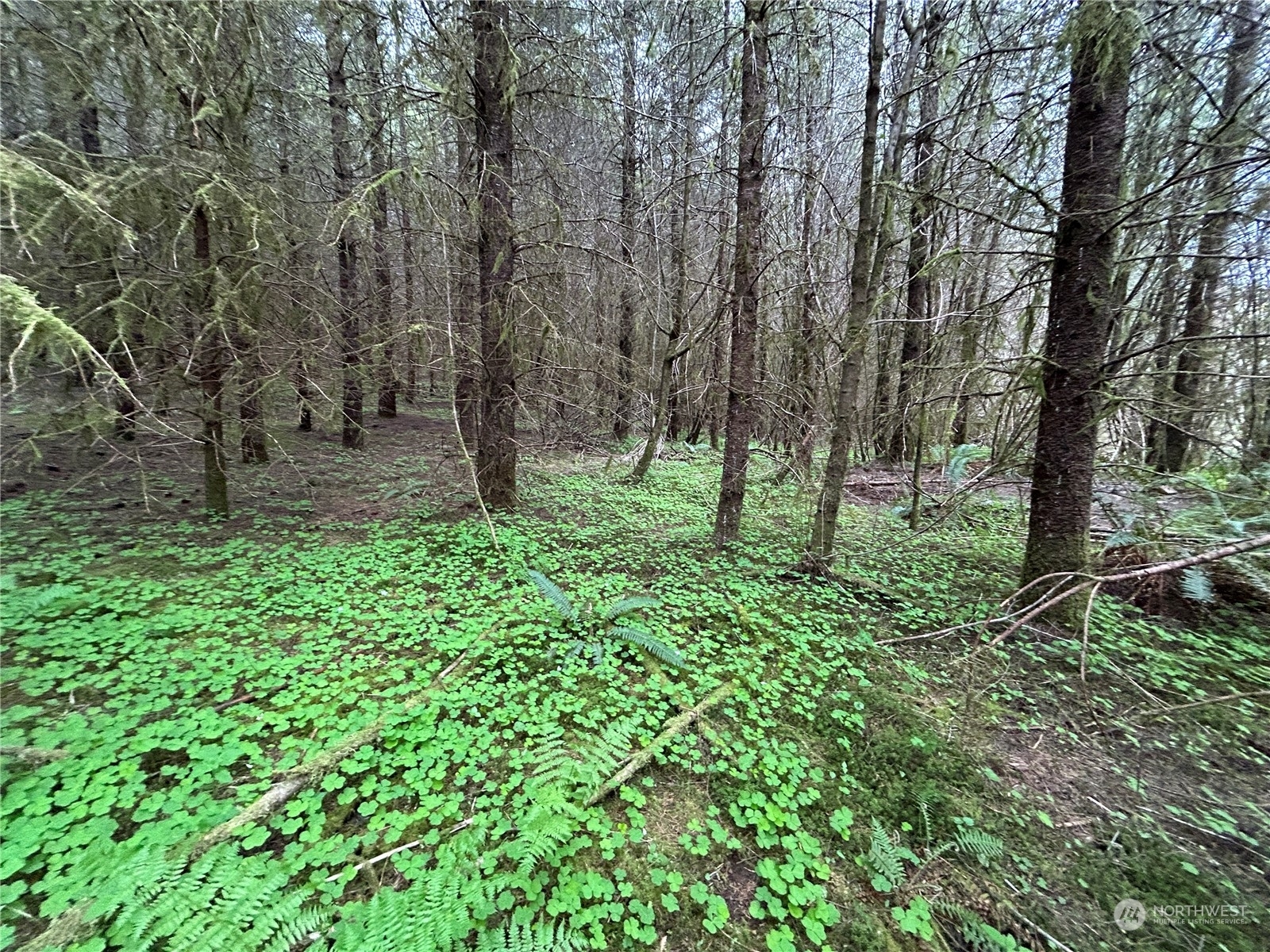 Property Photo:  0 Lot 4 Abernathy Creek Road  WA 98632 