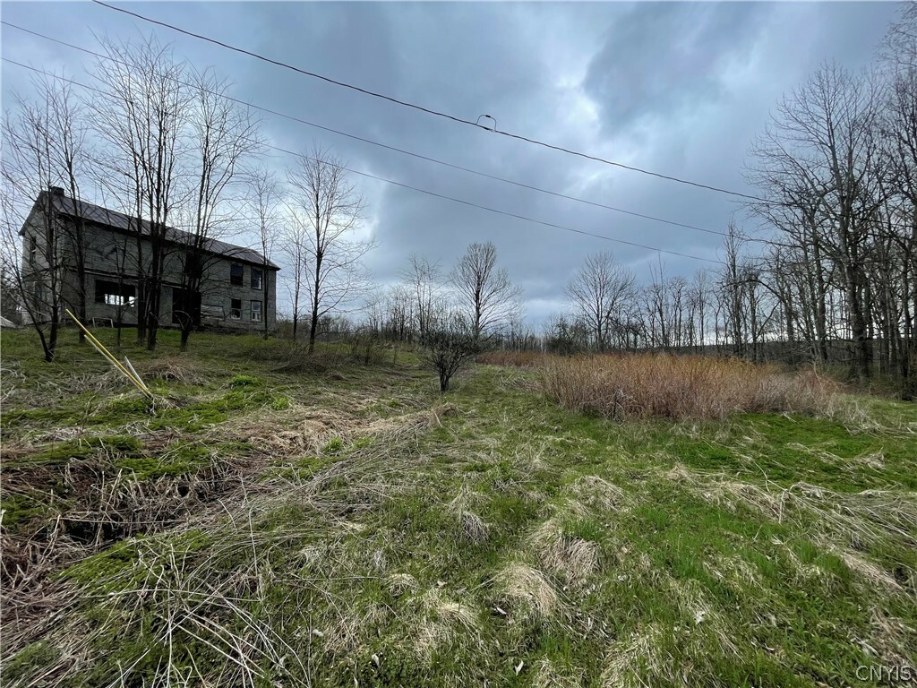 Property Photo:  148 Kostenko Sutton Road  NY 13801 