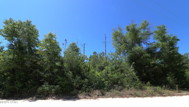 Property Photo:  Lot 16 Seminole Lane  FL 32448 