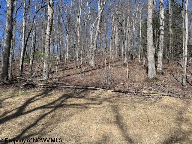 Property Photo:  Lot 30 Woodland Drive Beverly Hills  WV 26241 