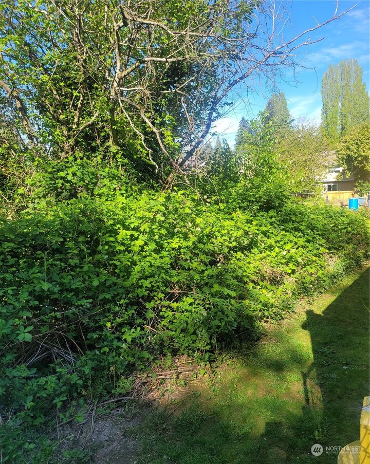 Property Photo:  10422 12th Avenue SW  WA 98146 