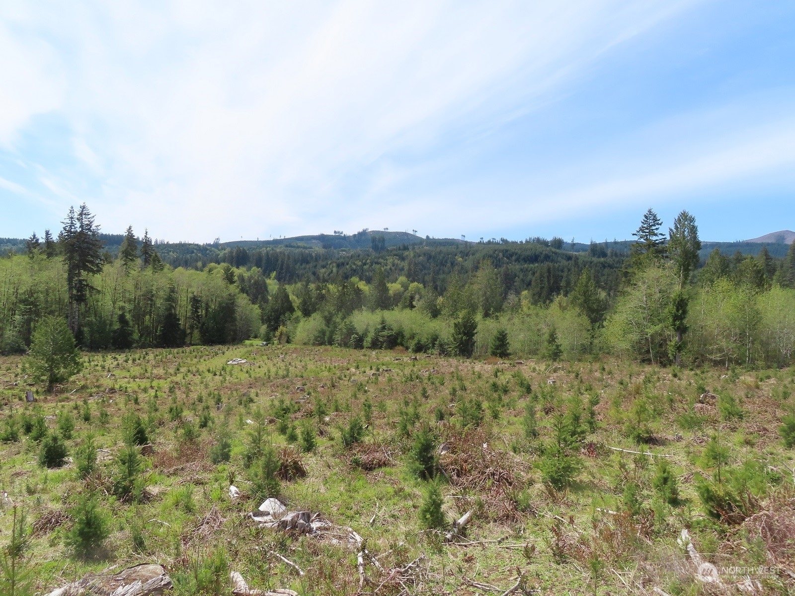 Property Photo: 234 Herman Lewis Road WA 98531