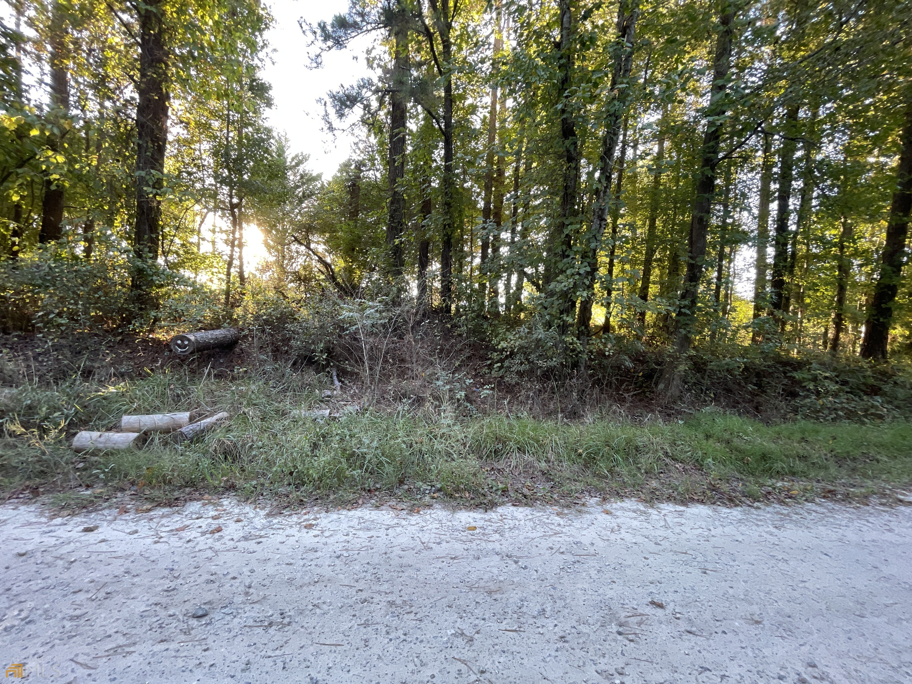 Property Photo: 63 Weddington Road GA 30179