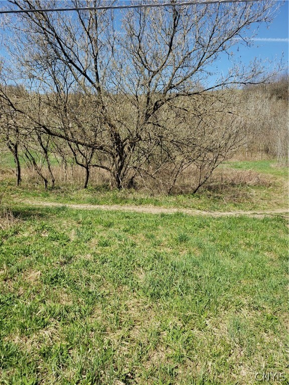 Property Photo:  0 N State Route 26  NY 13040 