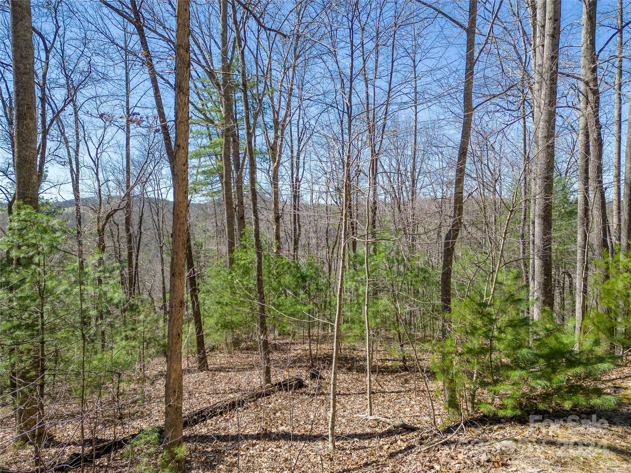 Property Photo:  132 Overlook Park Drive 51  NC 28792 