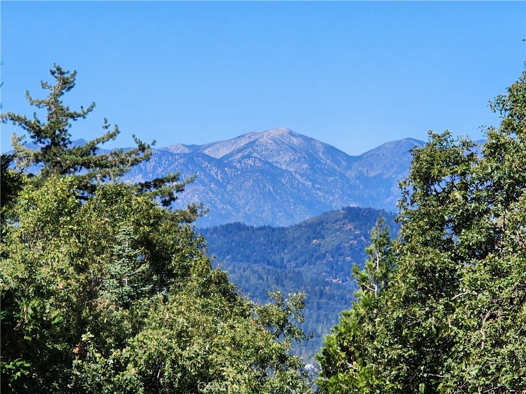 Property Photo:  0 North Road  CA 92391 