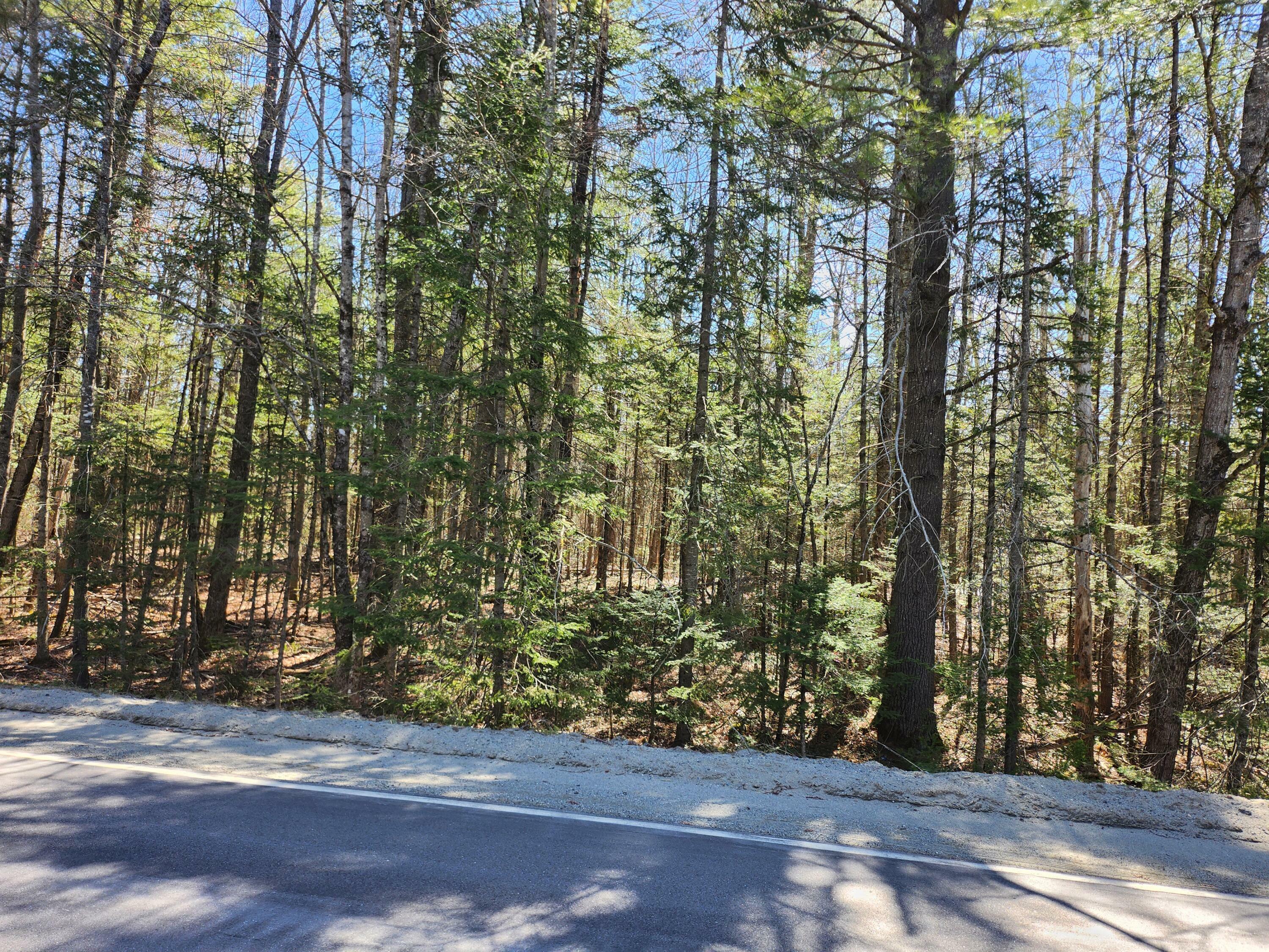 Property Photo:  Lot #36 Morrill Pond Road  ME 04924 