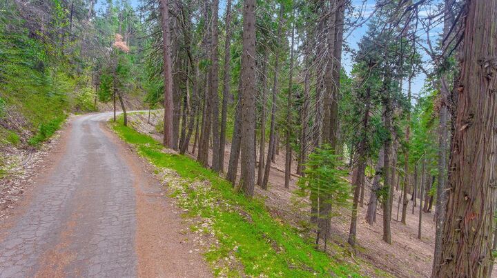 3 .75 Acres Bullion Bend Road  Pollock Pines CA 95726 photo