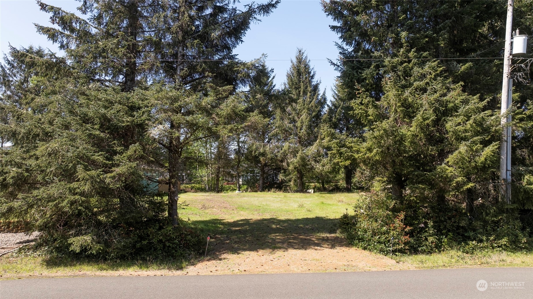 Property Photo:  779 Albion Avenue SE  WA 98569 