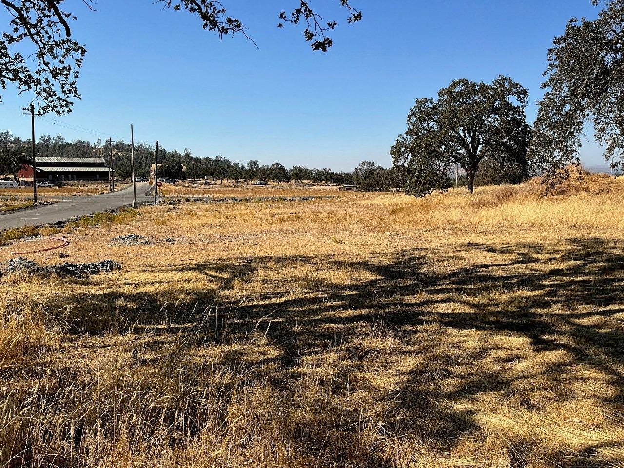 Property Photo:  9 0.48 Ac Sunflower Lane  CA 93645 