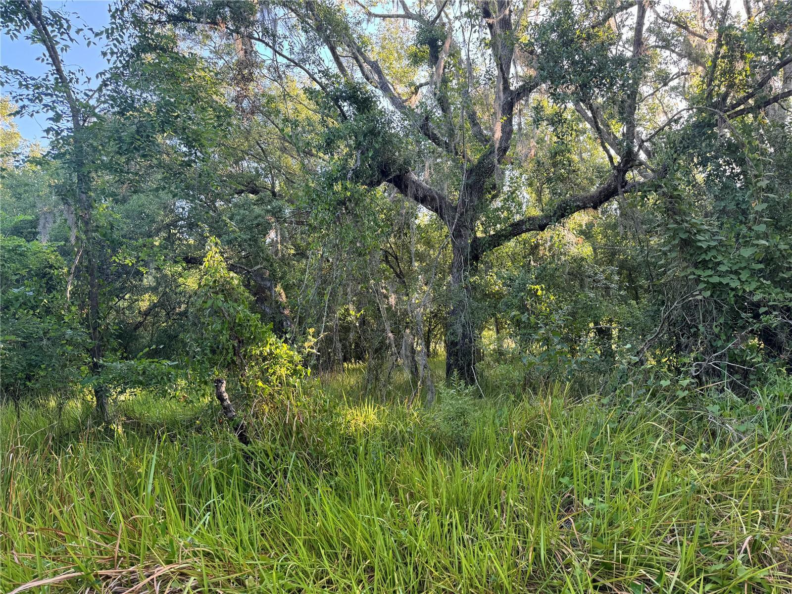Property Photo: 0 NE River Ridge Avenue FL 34266