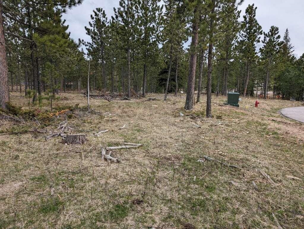 Property Photo:  Lot 8 Block4 Candlewood Court  SD 57754 