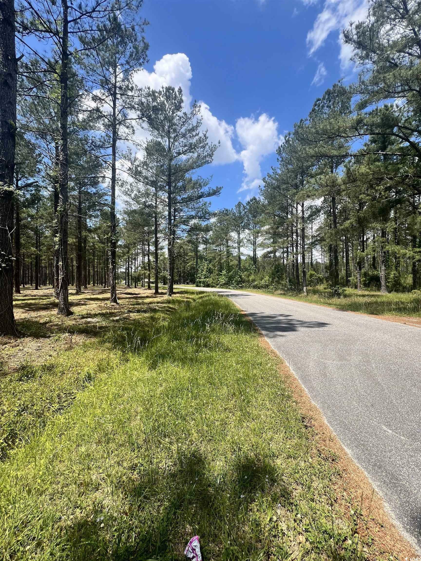 Property Photo:  Lot 3 Ashley Circle  SC 29526 