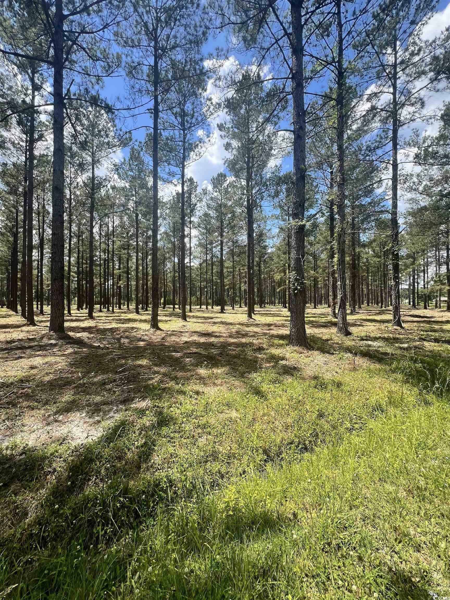 Property Photo:  Lot 2 Ashley Circle  SC 29526 