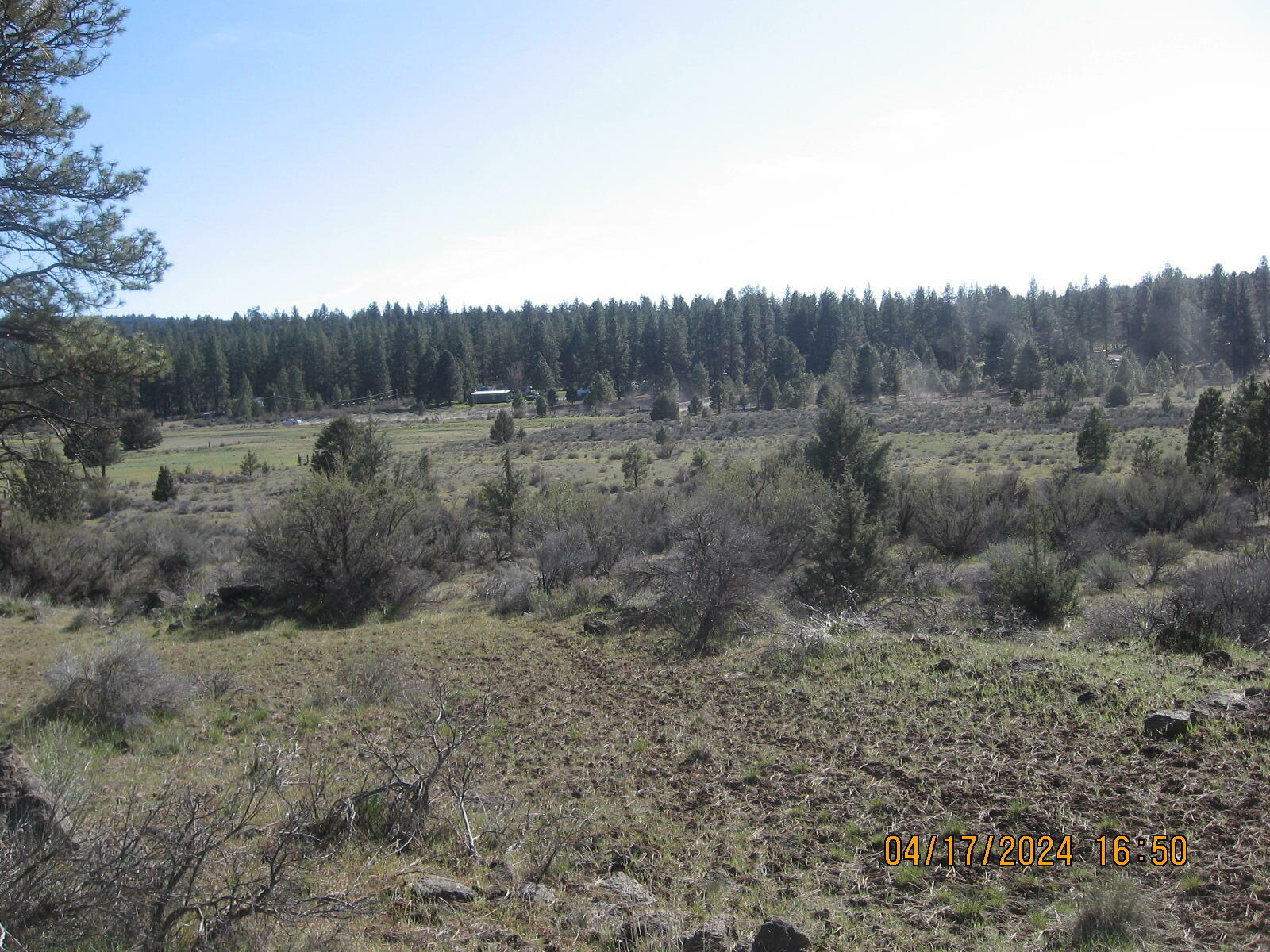 Property Photo:  Brant Drive Lot 35  OR 97623 