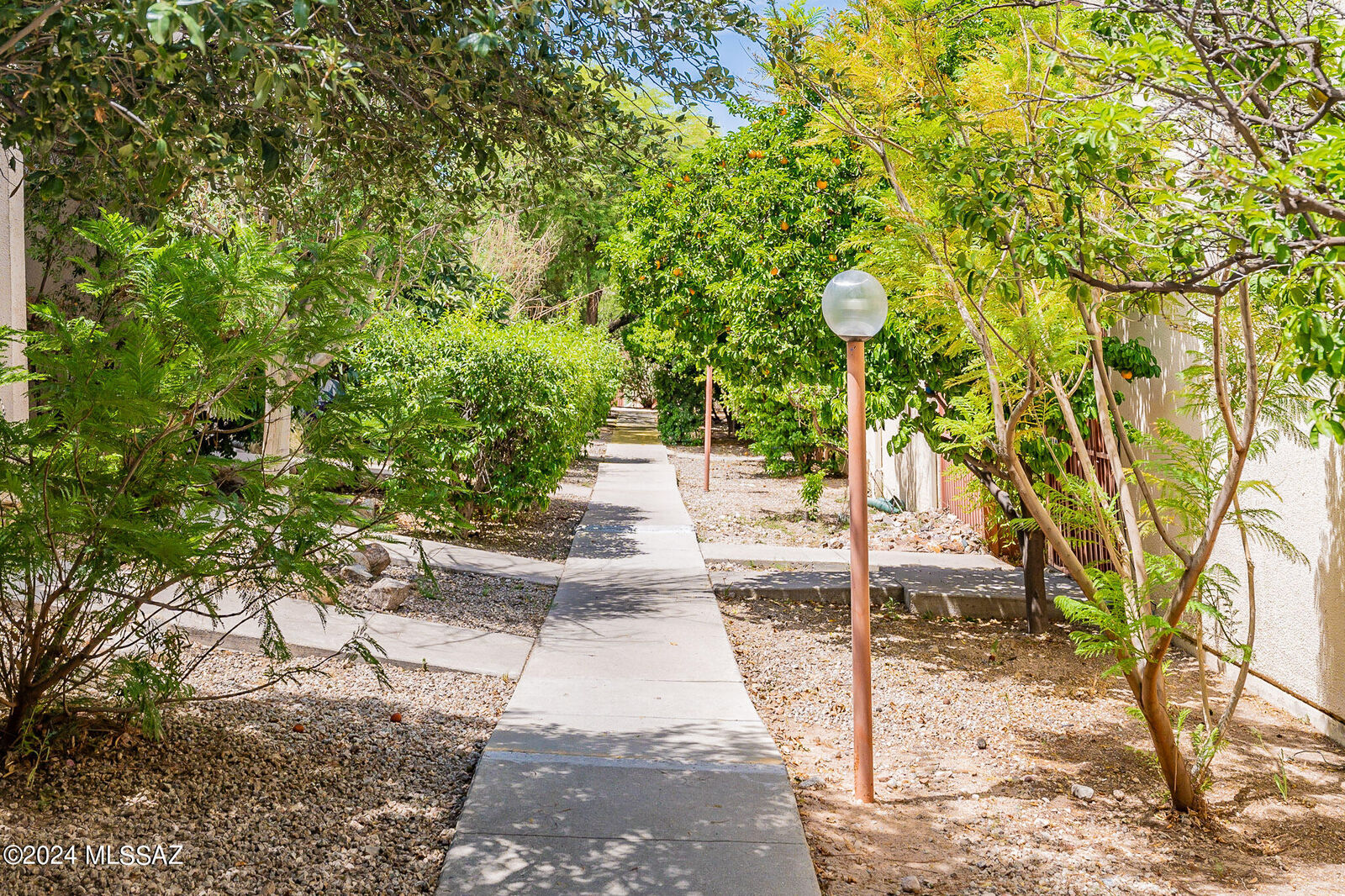 Property Photo:  1600 N Wilmot Road 156  AZ 85712 