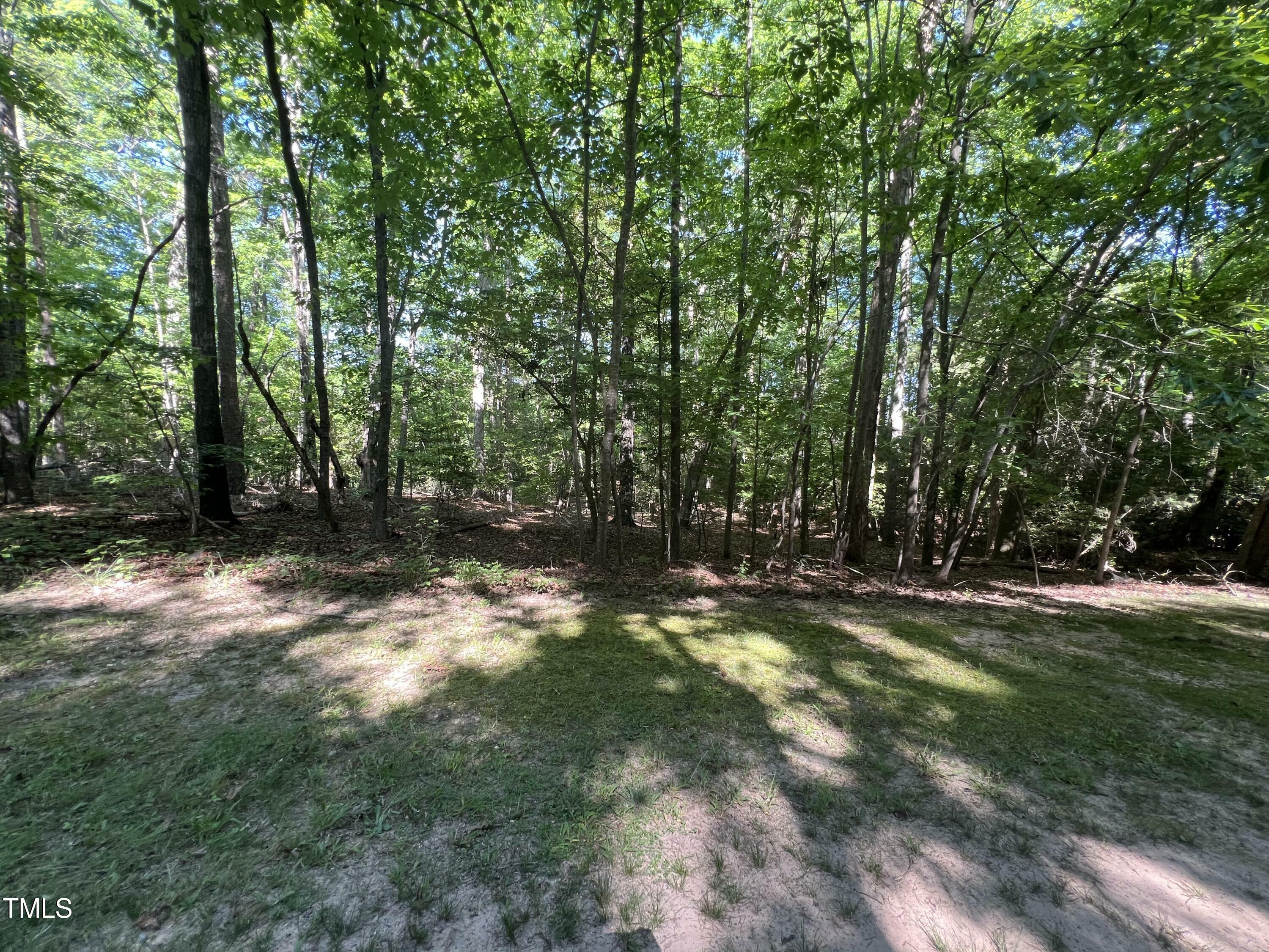 Lot 61 Palomino Road  Carthage NC 28327 photo