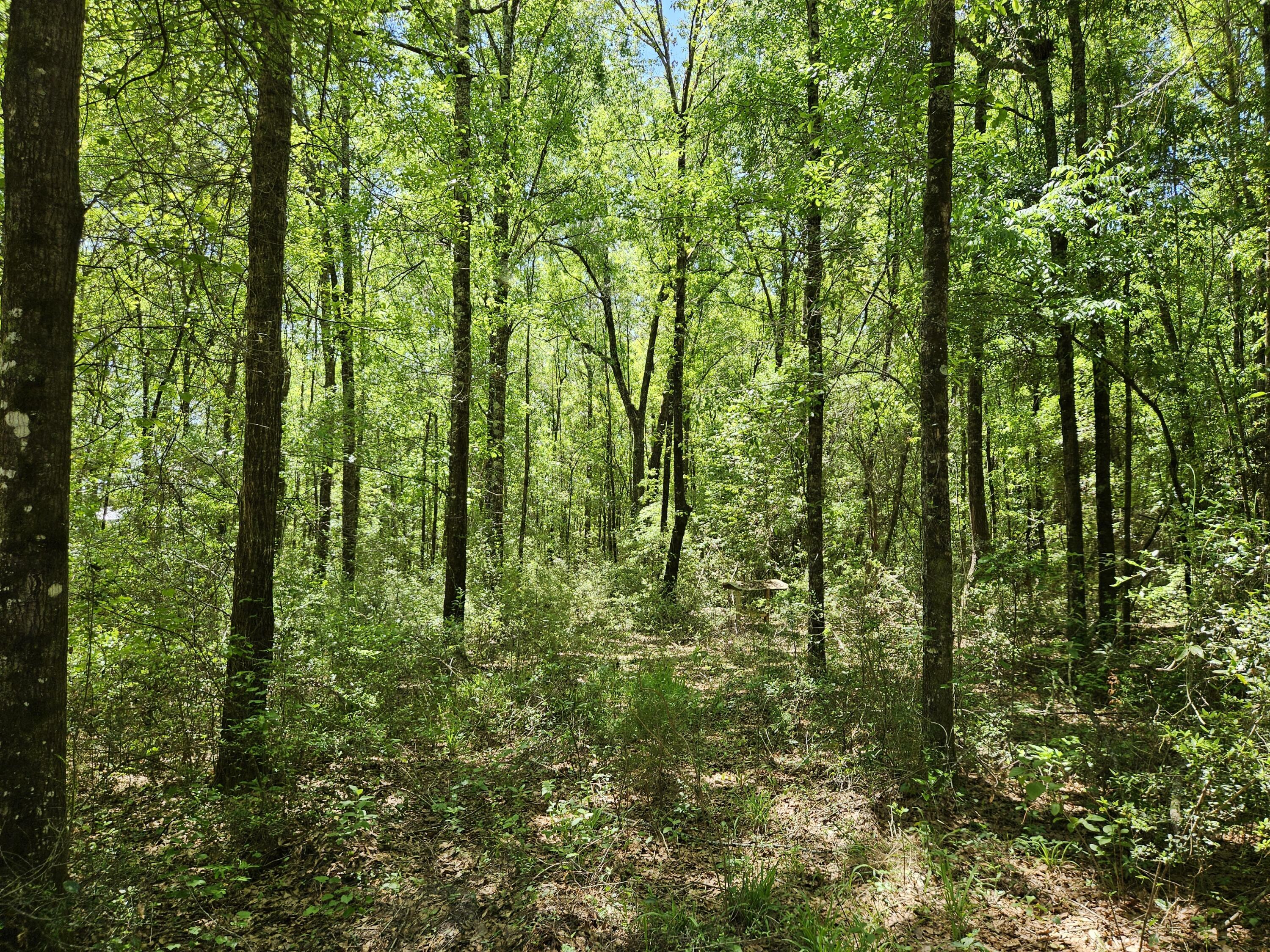 Property Photo:  9 +/- Acre US Hwy 29  AL 00N/A 