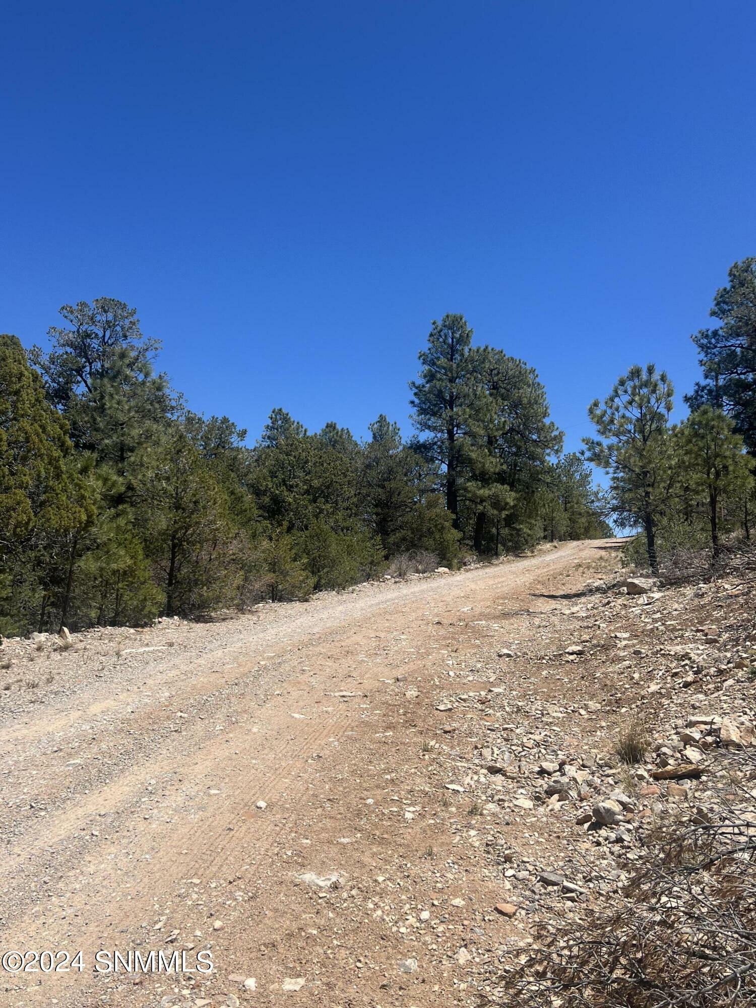 Property Photo:  32 Hungry Horse Loop  NM 88350 