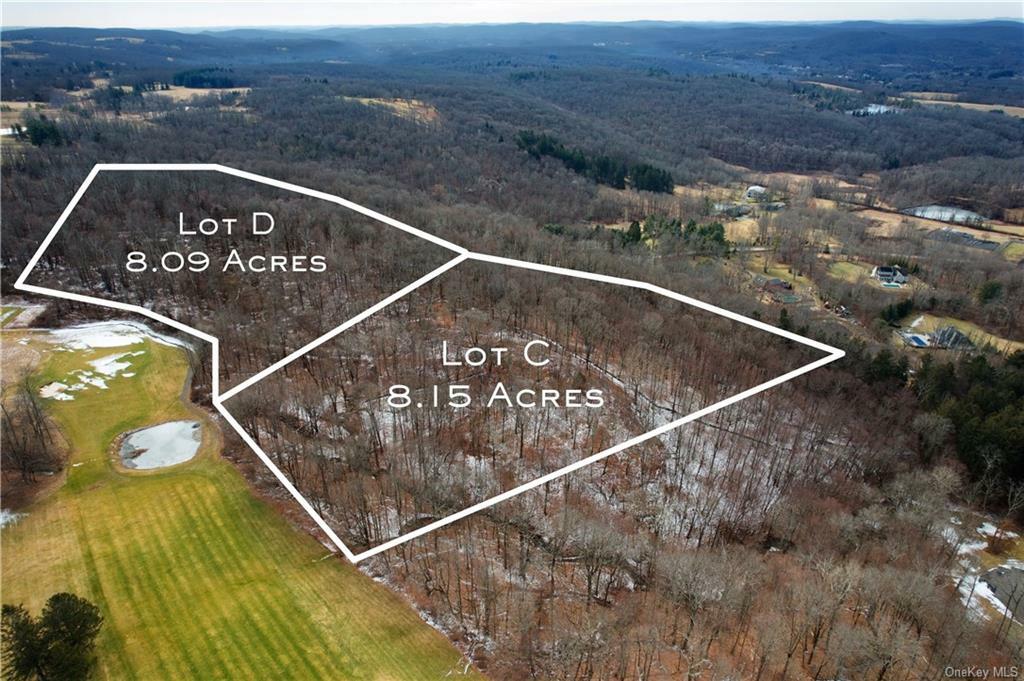 Property Photo:  Lot D Oblong Lane  NY 12564 