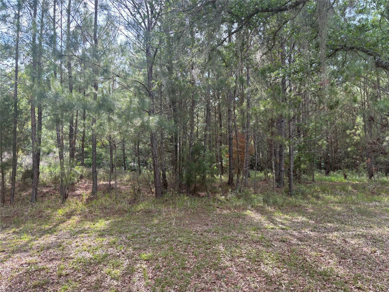 Property Photo:  5946 NW 88th Way  FL 32653 