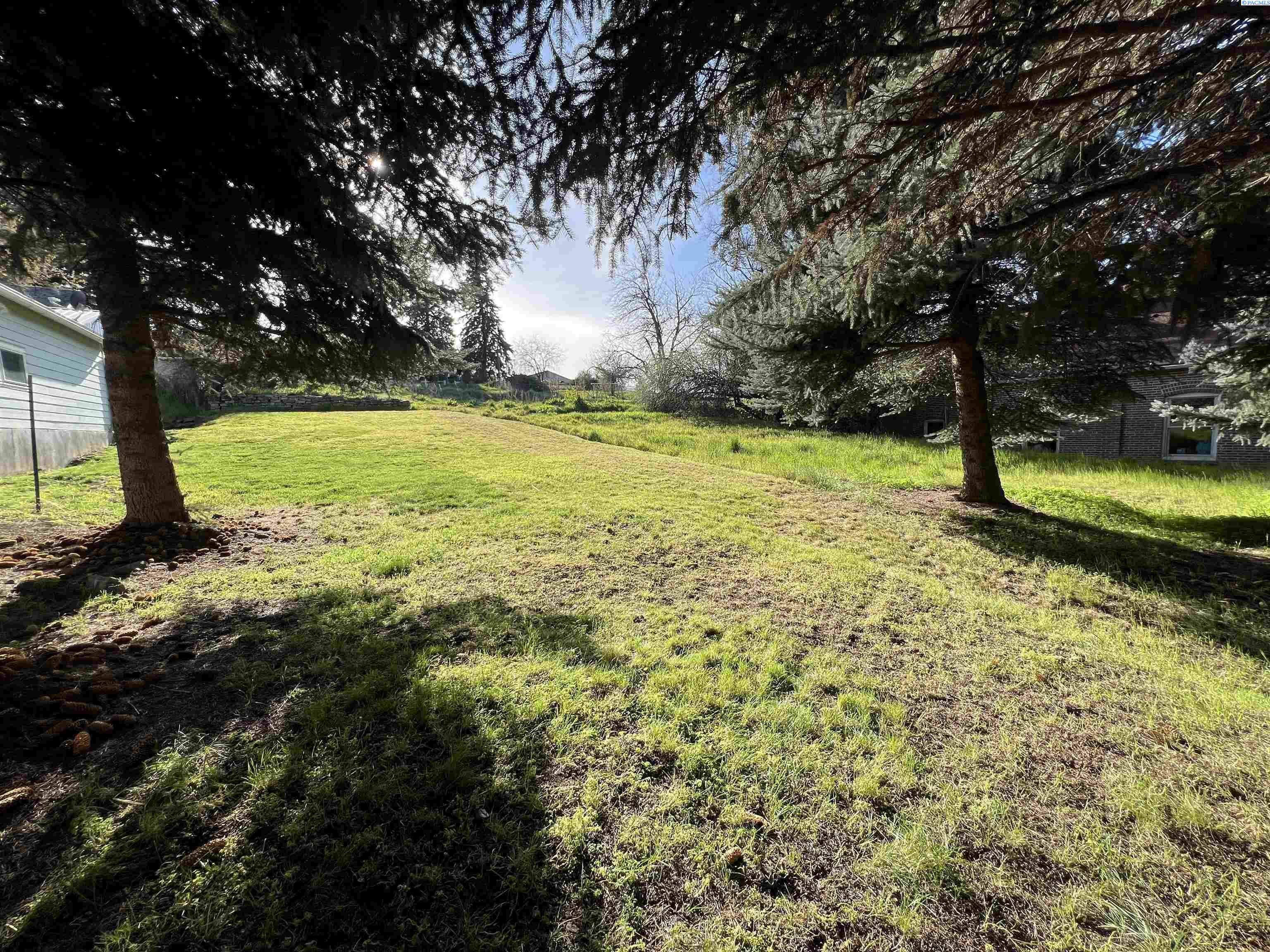 Property Photo:  Tbd Montgomery  WA 99179 