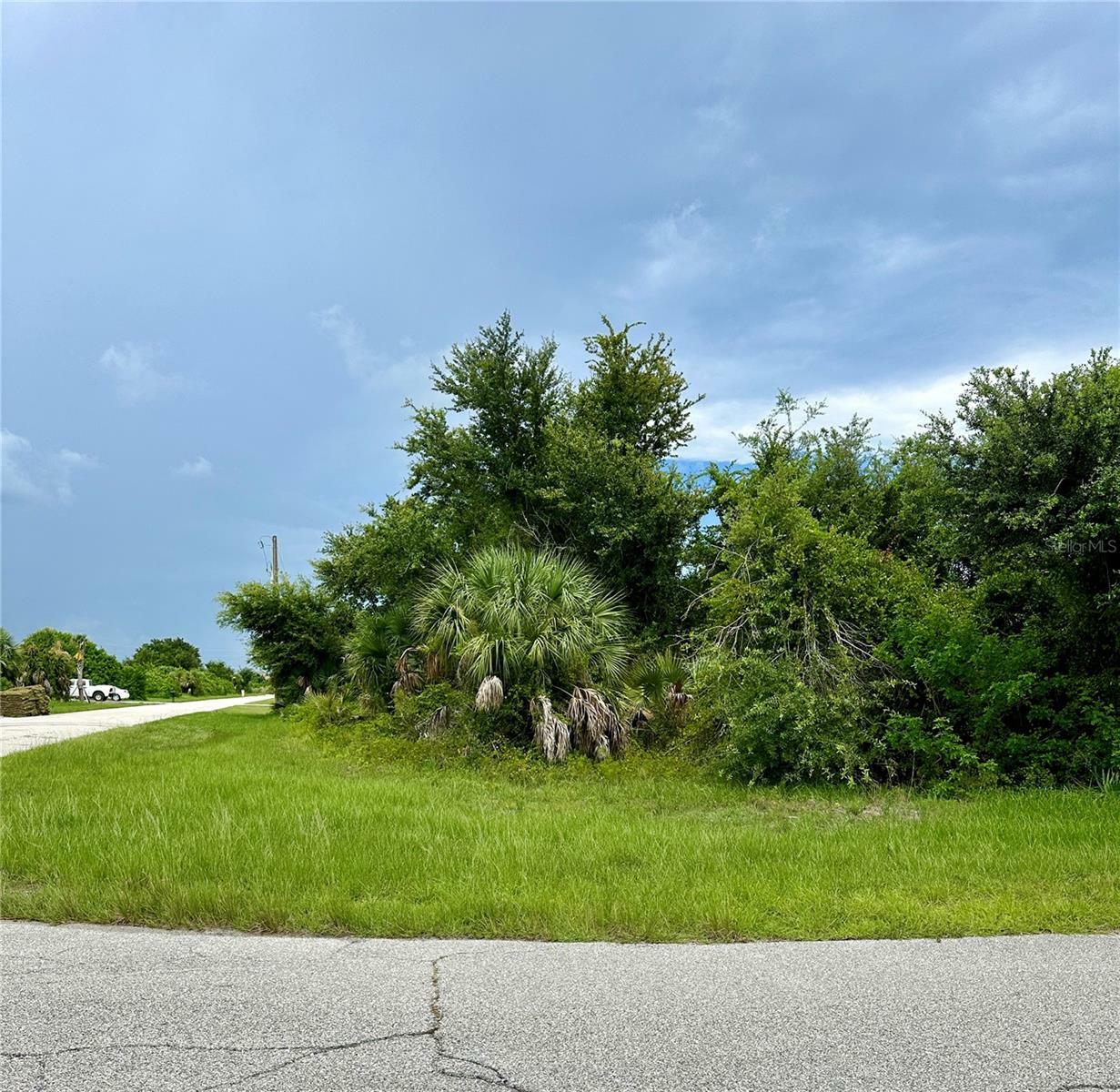 Property Photo:  10136 Rydell Street  FL 33981 