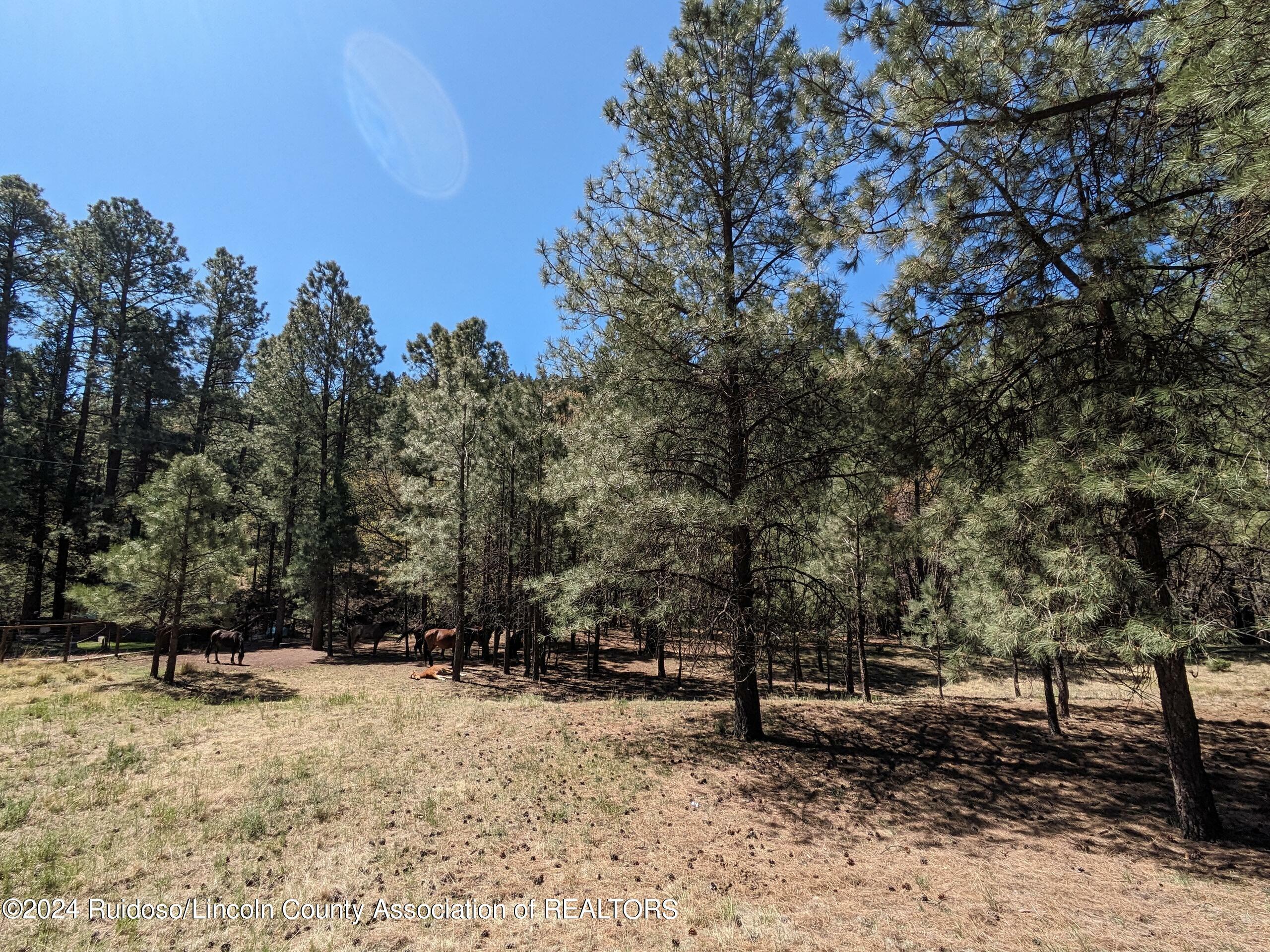 Lots 2 & 3 Gavilan Road  Ruidoso NM 88345 photo