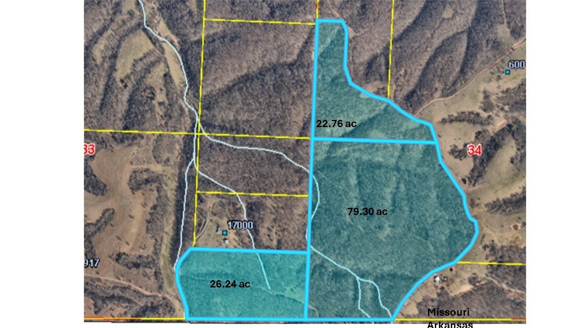 Property Photo:  22.76 Acres Styles Road  MO 64854 