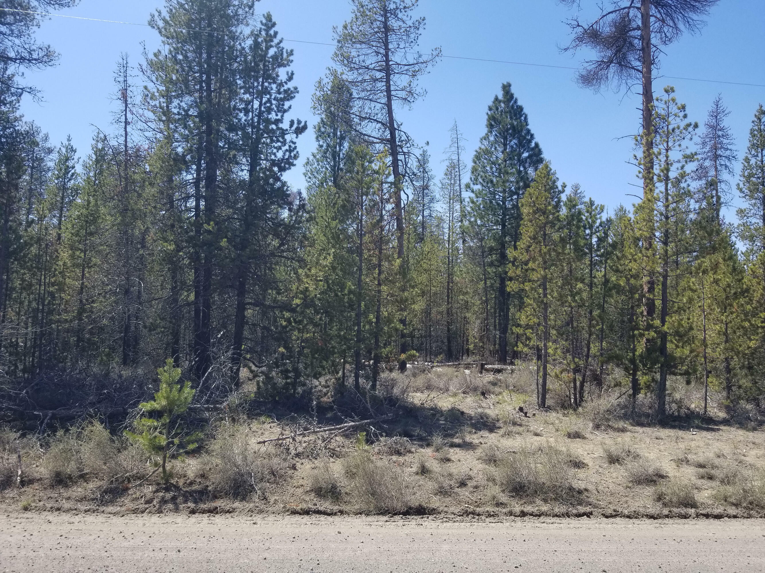 Property Photo: Tl 01800 Jerry Road OR 97739