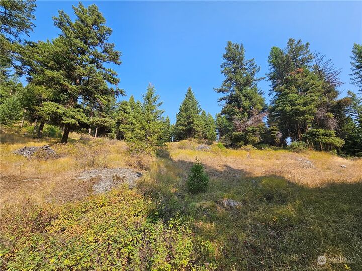 Property Photo:  0  Matts Road  WA 98844 