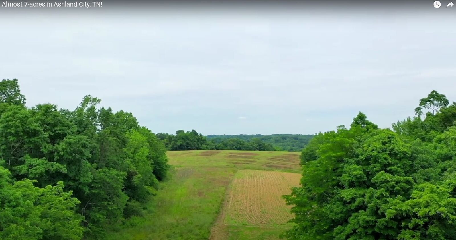 Property Photo: 0 Lockertsville Rd TN 37015