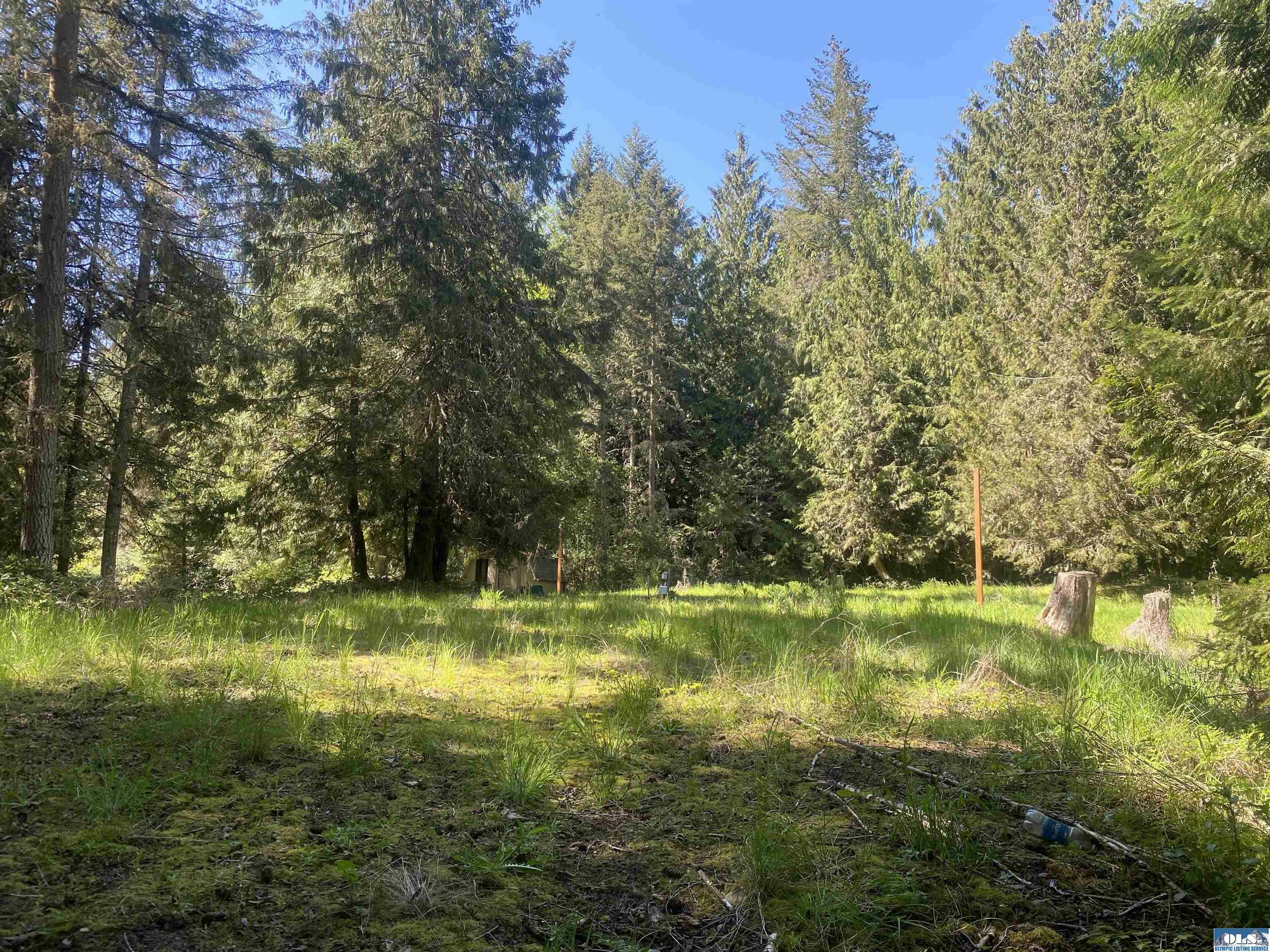 Property Photo:  133 Country Acres  WA 98382 