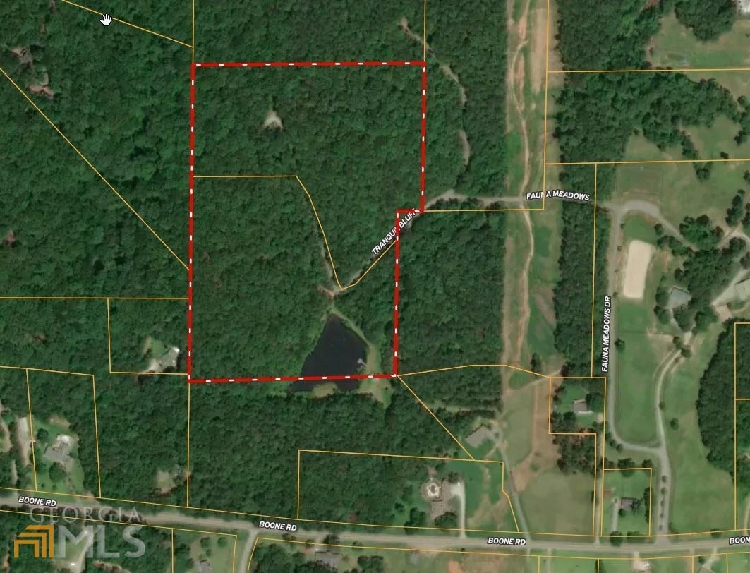 Property Photo:  Tr 6&Amp7 Tranquil Bluff Road  GA 30263 
