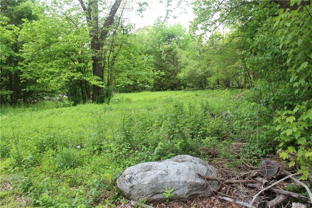 Property Photo:  Lakes Road  NY 10950 