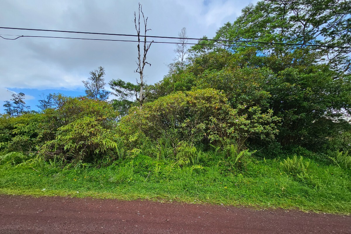 Property Photo:  Pukalani Dr  HI 96778 
