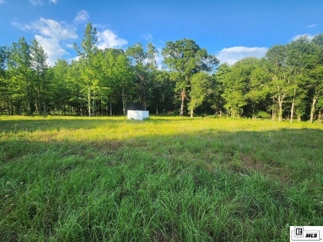 Property Photo: 000 Tarver Road LA 71259