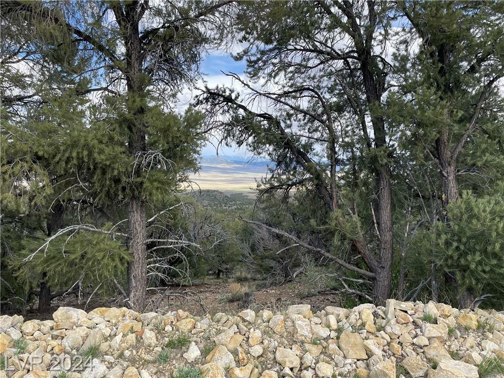 Property Photo:  350 East Ward Mountain Drive  NV 89301 