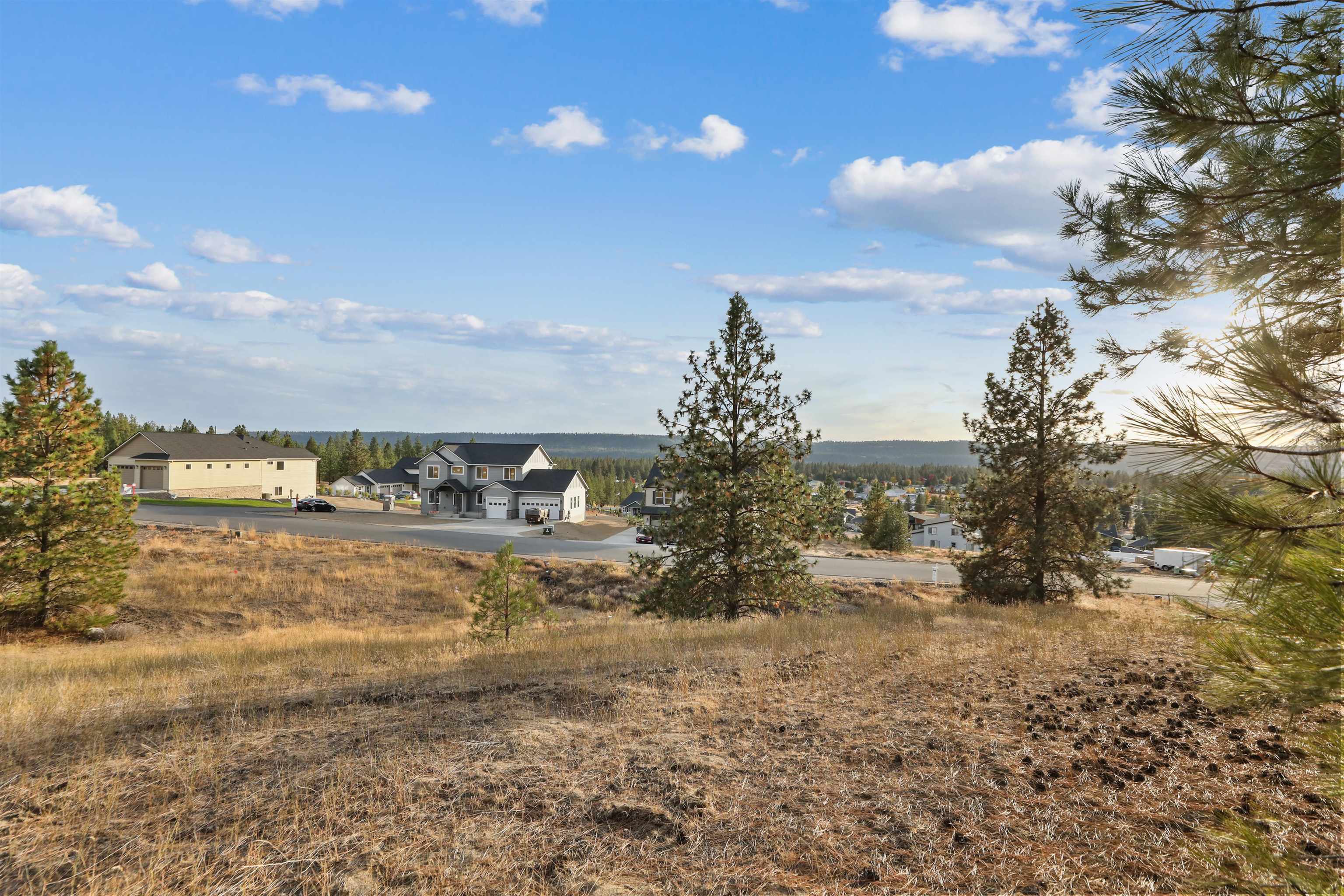 Property Photo:  60869 Westview Dr Lot 39  WA 99026 